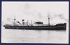 Nyhorn