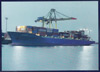 California Senator / Sea Initiative