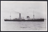 Piako