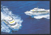 Barracuda / Marrajo / Tintorera / Pez Volador