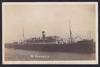 Neuralia